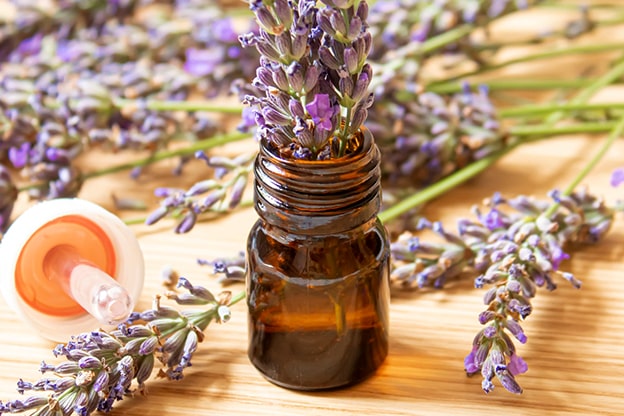5. Lavanta Yağı
Lavanta yağı, aromaterapinin yıldızı olarak sinüzit semptomlarını hafifletmede etkilidir. Tıkanıklık, baş ağrısı ve boğaz enfeksiyonlarına karşı rahatlatıcı bir çözüm sunar. Yağı, boyun, göğüs ve sinüs bölgelerine masaj yaparak uygulayabilir veya kaynar suya 5-6 damla ekleyerek buharını soluyabilirsiniz.