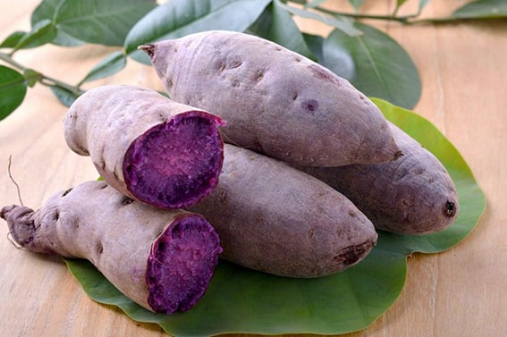 Mor Patates Min