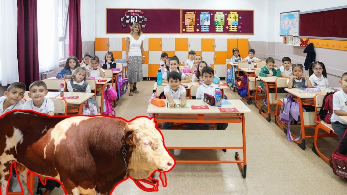 Okullar Ne Zaman Kapanacak Kurban Bayramı Ile Birleşecek Mi (2)