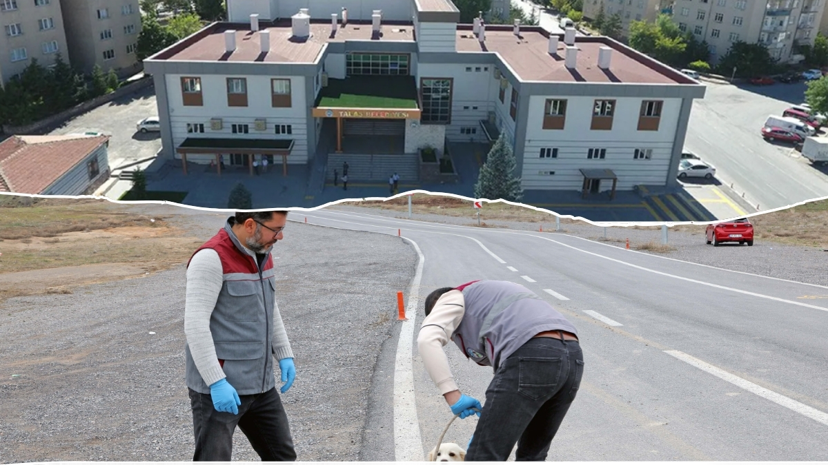 Talas Belediyesi Pati Evi (1)