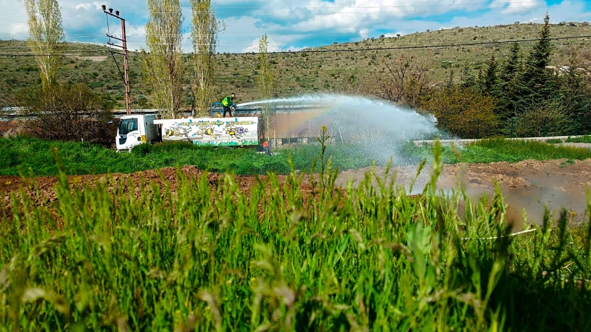 Talas Ilaçlama (3)