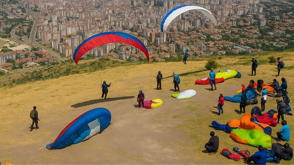 Talas'ta Gören Hayran (5)