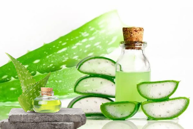 Aloe Vera Jeli
Aloe vera, iyileştirici özellikleriyle çatlakların görünümünü azaltır. Evde aloe vera bitkiniz varsa, bir yaprağını kırarak içindeki jeli çatlaklara uygulayın ve durulamayın. Günde bir kez kullanım, cildin yenilenmesini destekler ve izleri hafifletir.
