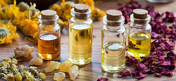 Aromaterapi Yağları
Bazı aromaterapi uçucu yağları, hoş kokularının yanı sıra keneleri uzak tutma özelliğine sahiptir. Keneler, limon, portakal, tarçın, lavanta, nane, gül ve sardunya kokularından kaçınır. Bu kokuları taşıyan esansiyel yağları cildinize uygulayabilir, hassas ciltler için badem yağıyla seyreltebilirsiniz. Bu yağlar, hem doğal bir koku sağlar hem de kenelere karşı etkili bir bariyer oluşturur. Ancak, kediler için uçucu yağların kullanımı önerilmez; bu nedenle evcil hayvanlar için bu çözümleri uygulamadan önce bir veterinere danışmalısınız.