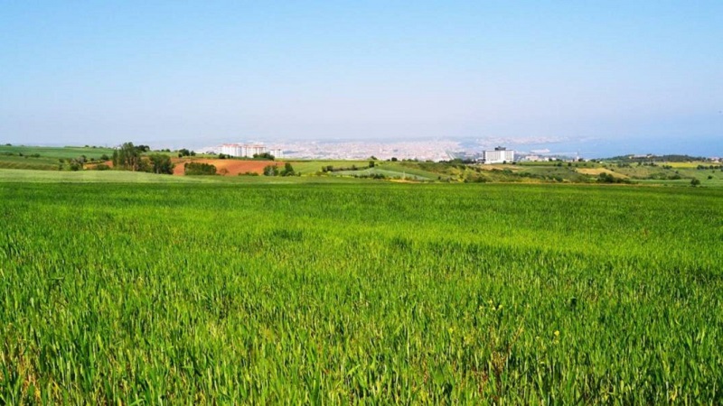 Satışa sunulan arsalar, merkezi konumlarda yer alıyor. Konut, ticaret, sanayi, turizm, tarım, sağlık, eğitim ve sosyal tesis alanı gibi farklı kullanım amaçlarına uygun arsalar bulunuyor. Ayrıca plansız arsalar ve akaryakıt istasyon alanları da satış kapsamında yer alıyor. Toplam muhammen bedeli 14 milyar TL’yi aşan bu arsalar, yaklaşık 2,8 milyon metrekare büyüklüğünde. Yatırımcılar, bu arsaları değerlendirerek uzun vadeli kazanç elde edebilir.