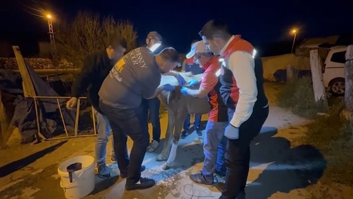Bakan Yumaklı Kayserili Eyüphan'ın Çağrısına Kayıtsız Kalmadı! Nazlı Için Ekipler Harekete Geçti (2)