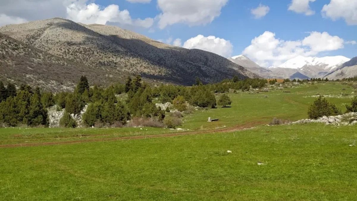 Berçin Yaylası (3)