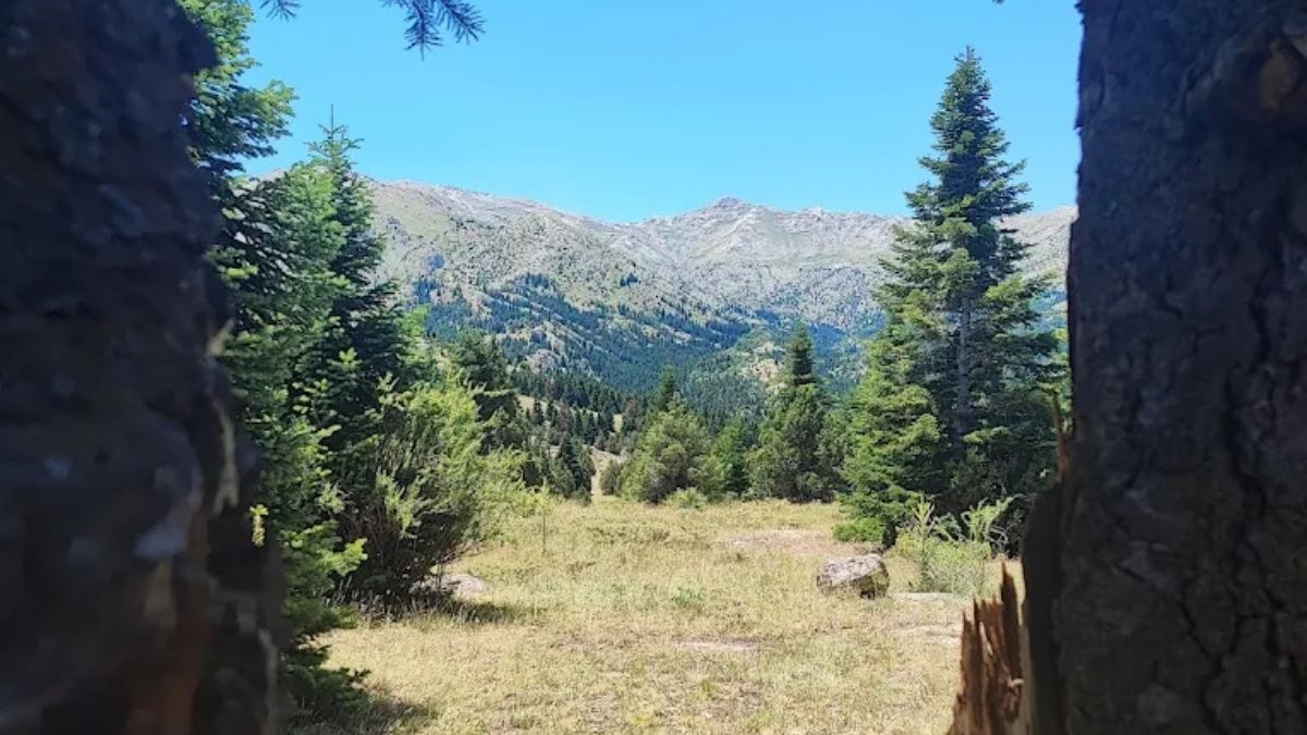 Berçin Yaylası (5)