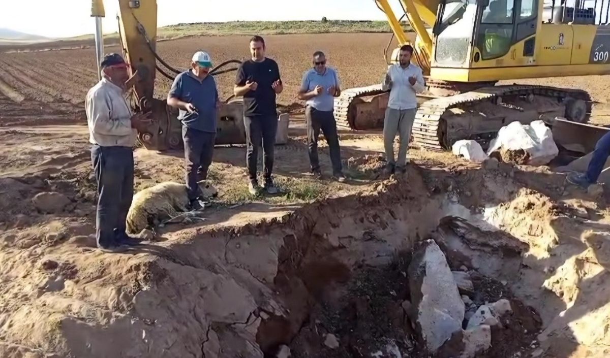 Bünyan Kurban Kesimi (2)