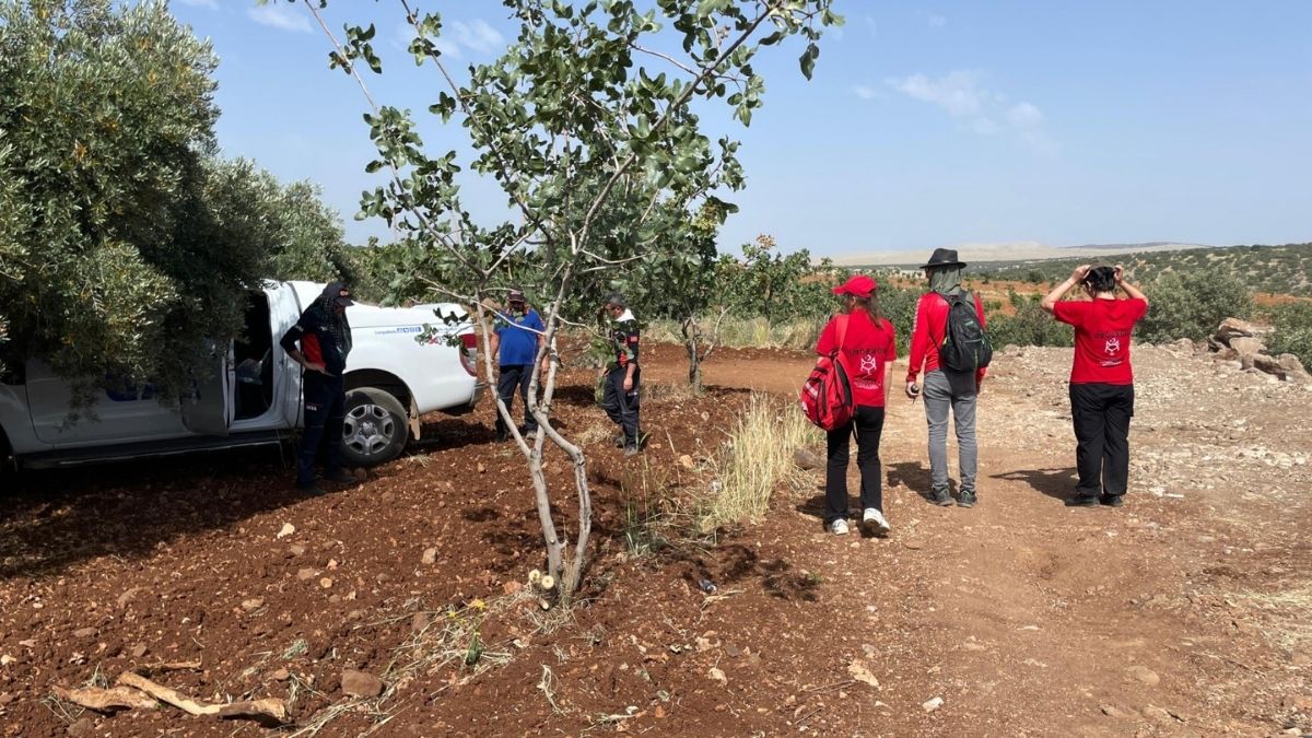 Cansız Bedneine Ulaşıldı (3)