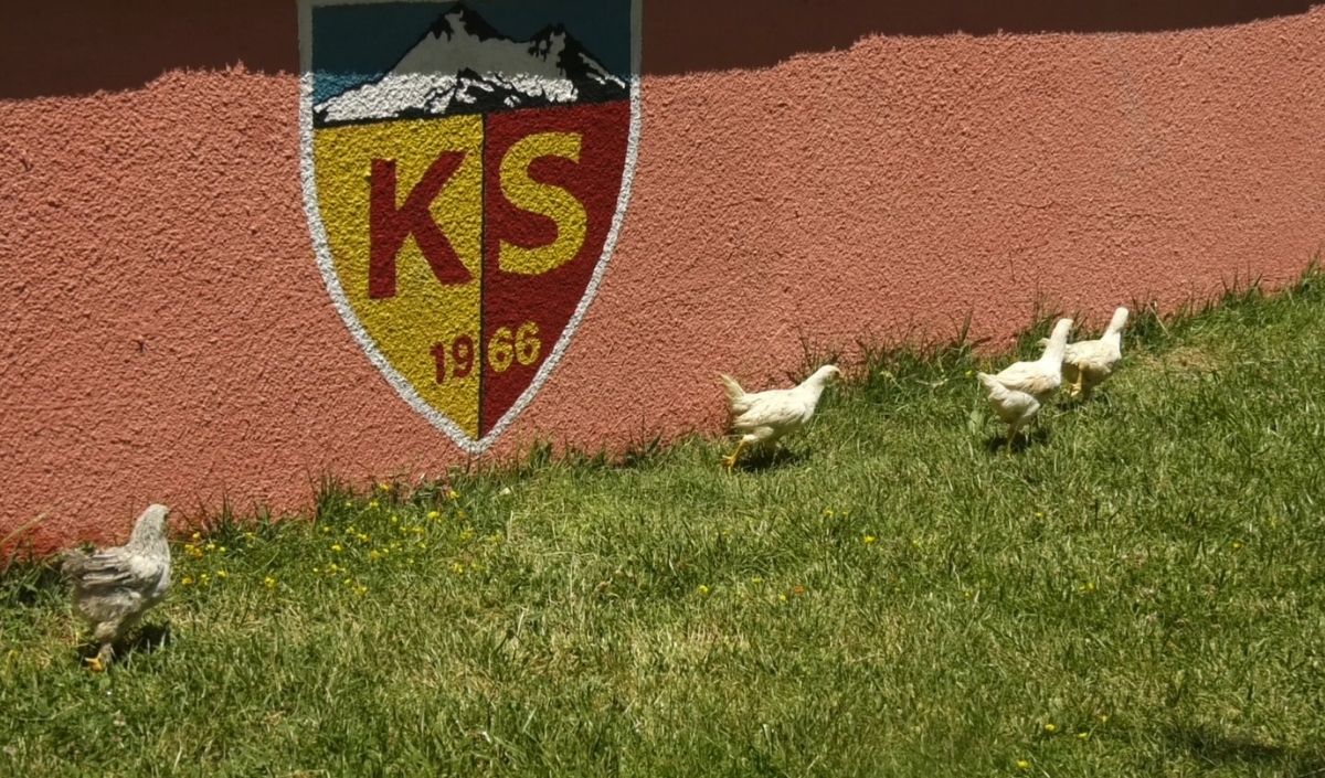 Doğaya Dönüş Celal Bayar Lisesi (2)