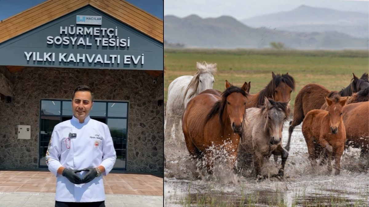 Hacılar Yatırım (3)
