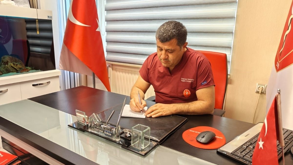 Haşerat (4)