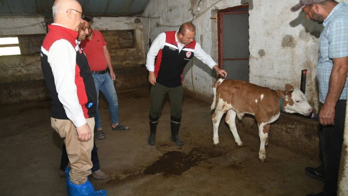 Hastalıktan Ari Işletme (4)