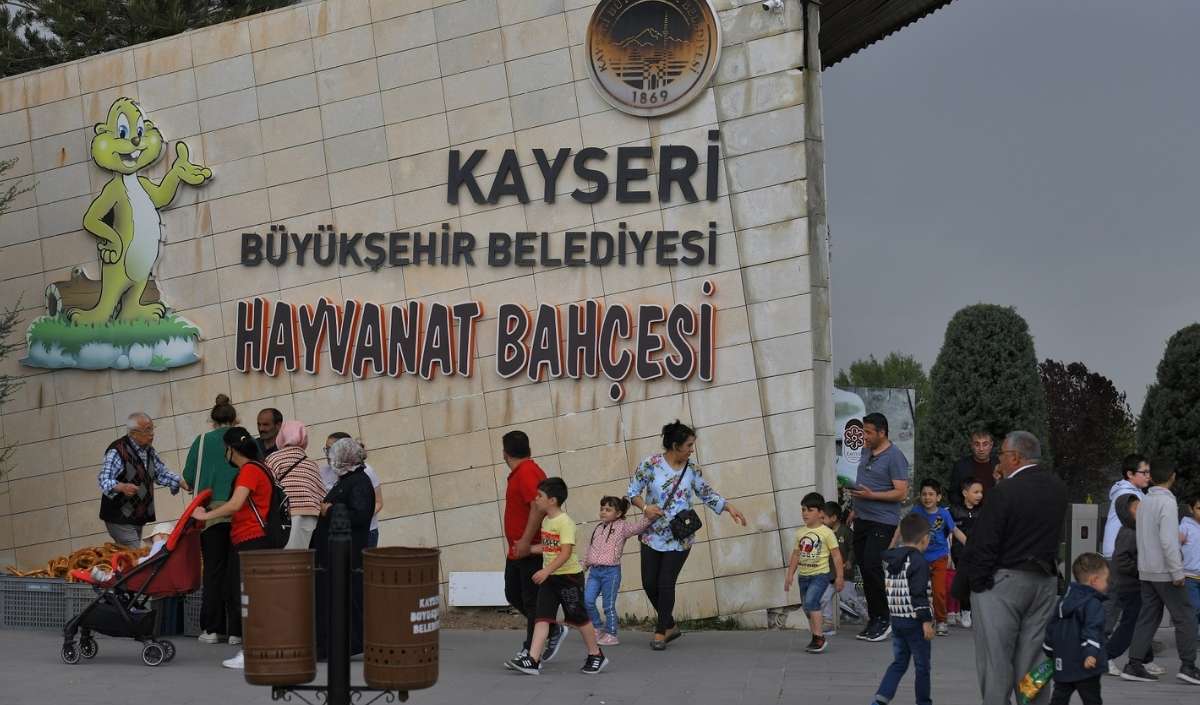 Hayvanat Bahçesi (1)