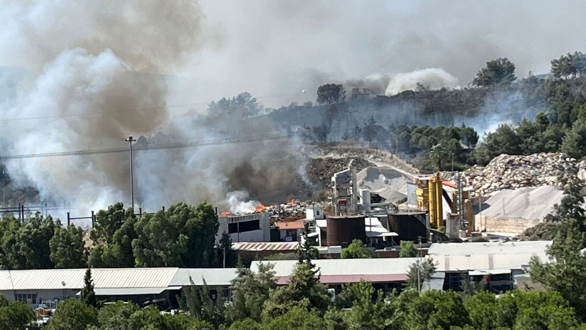 İzmir Orman Yangını (8)