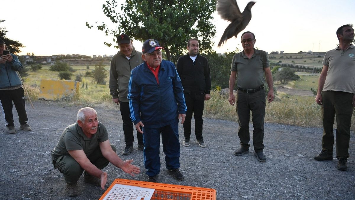 Kene Doğaya Salındı (1)