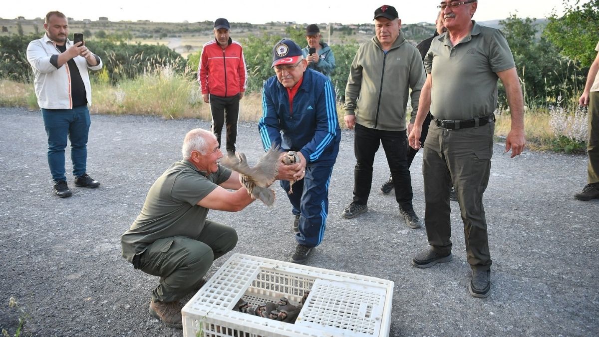 Kene Doğaya Salındı (3)