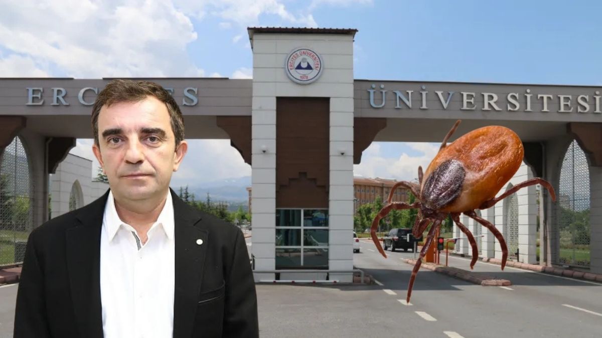 Kene Krizi Erü (3)