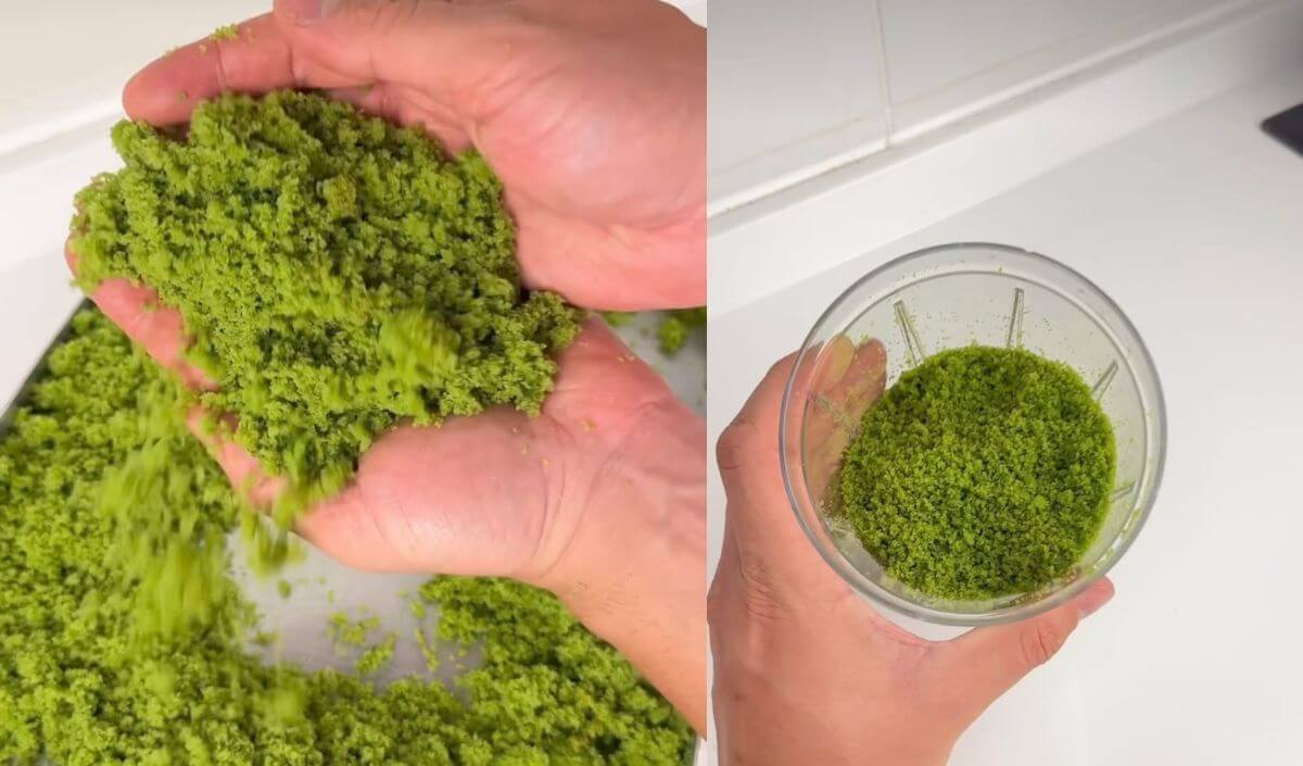 yalancı antep fıstığı