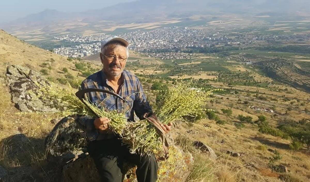 erciyes dağı etekleri
