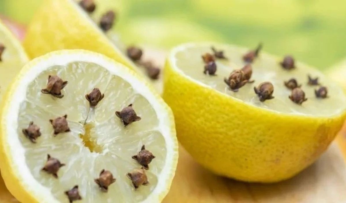 Limon Karanfil
