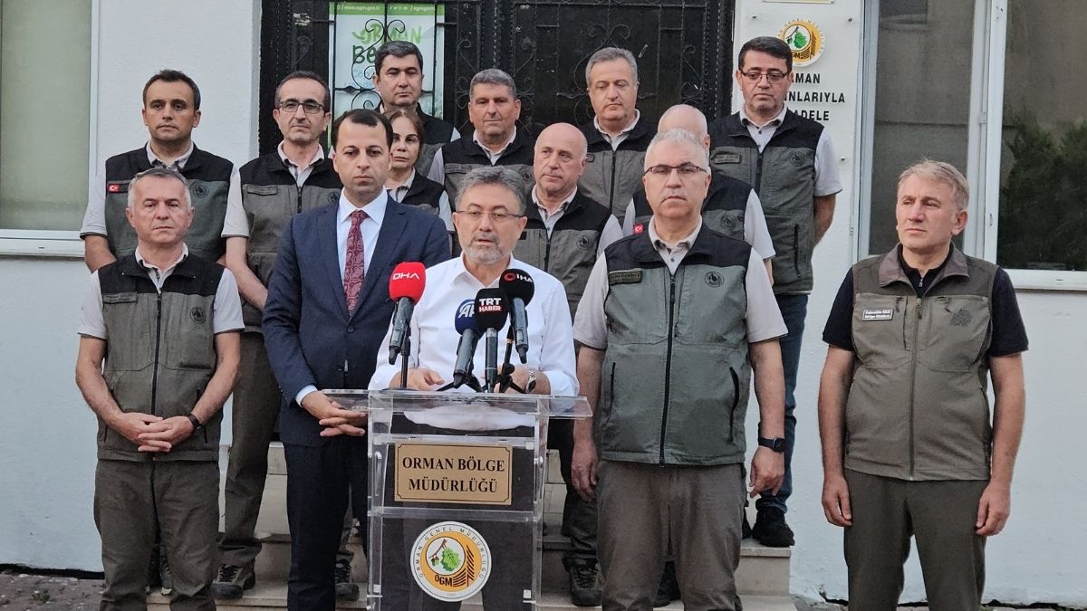 Orman Yangını (5)