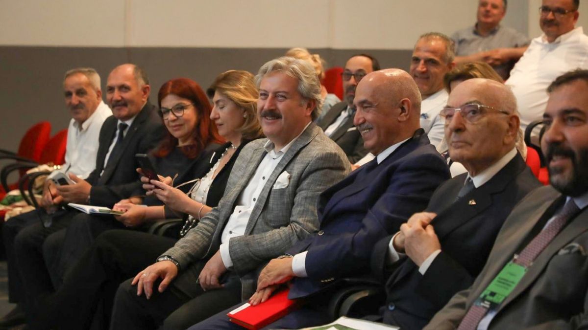 Palancıoğlu Istanbul (2)