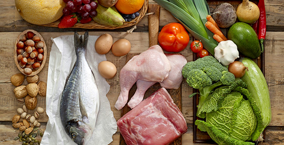 Paleo Diyeti Efsanesi
Günümüzde popüler olan paleo diyet, erken insan beslenmesinin ağırlıklı olarak hayvansal proteine dayandığı varsayımına dayanır. Ancak bu çalışma, bitkisel gıdaların, özellikle karbonhidrat açısından zengin yumrular, kökler ve kabuklu yemişlerin, insan beyninin enerji ihtiyacını karşılamada önemli olduğunu ortaya koyuyor. Hayvan kemikleri arkeolojik alanlarda daha kolay korunurken, bitkisel kalıntılar genellikle çabuk bozulduğu için göz ardı edilmişti. Nişasta tanelerinin keşfi ise bu eksik parçayı tamamladı.