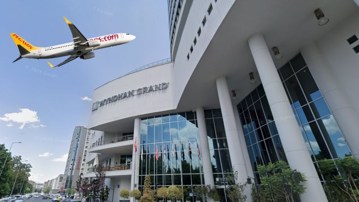 Pegasus Wyndham (4)