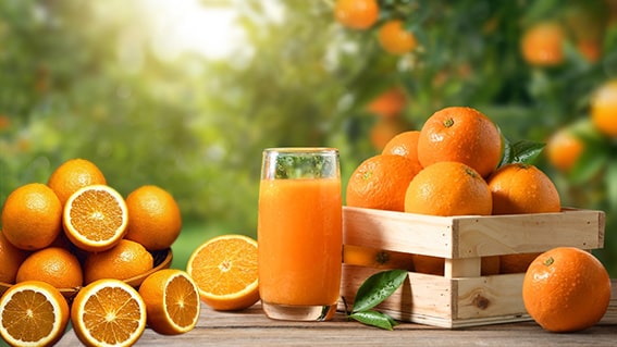 Portakal
Portakal, C vitamini, lif, antioksidan ve doğal şeker açısından zengindir. Bağışıklığı güçlendirir, kollajen üretimini destekler ve demir emilimini artırır. Tek başına veya meyve suyu olarak tüketilebilir.
