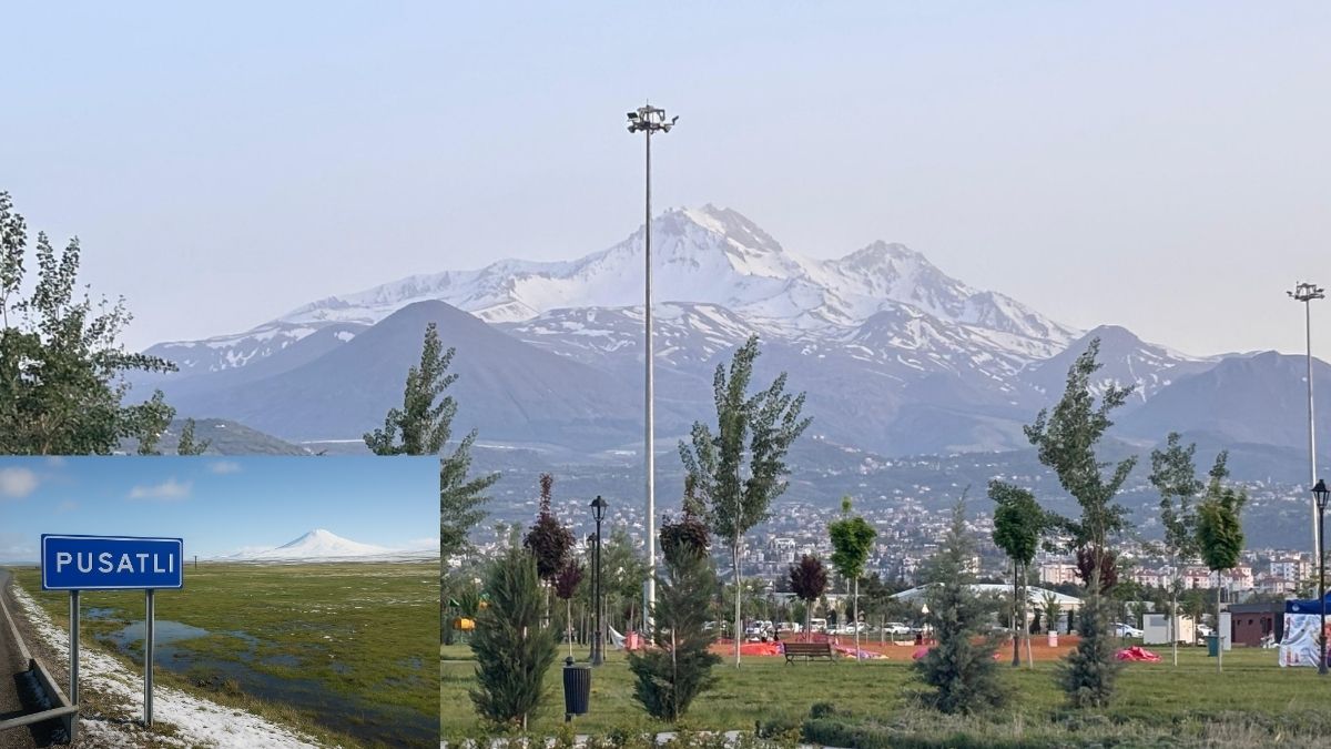 Pusatlı (3)
