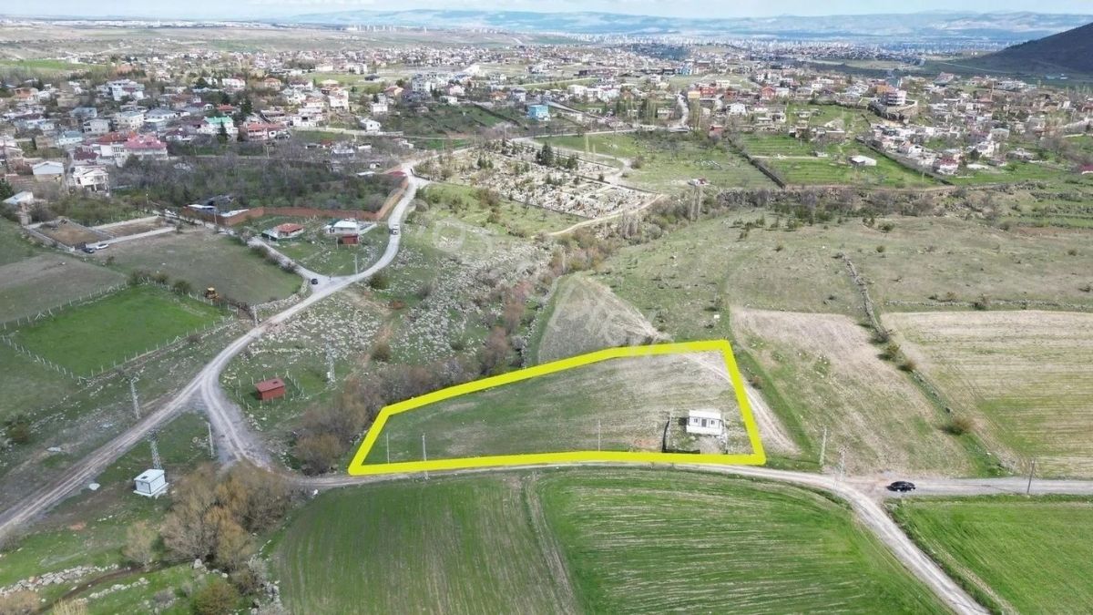 Talas Arsa (7)