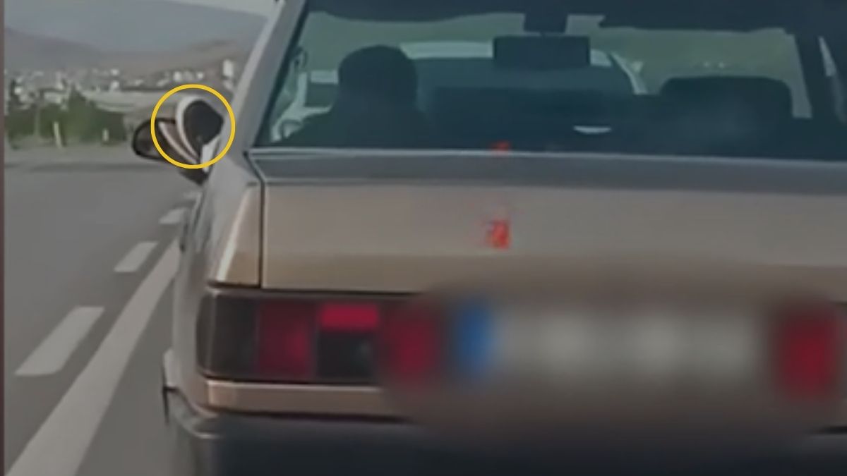 Trfik Cezası (1)