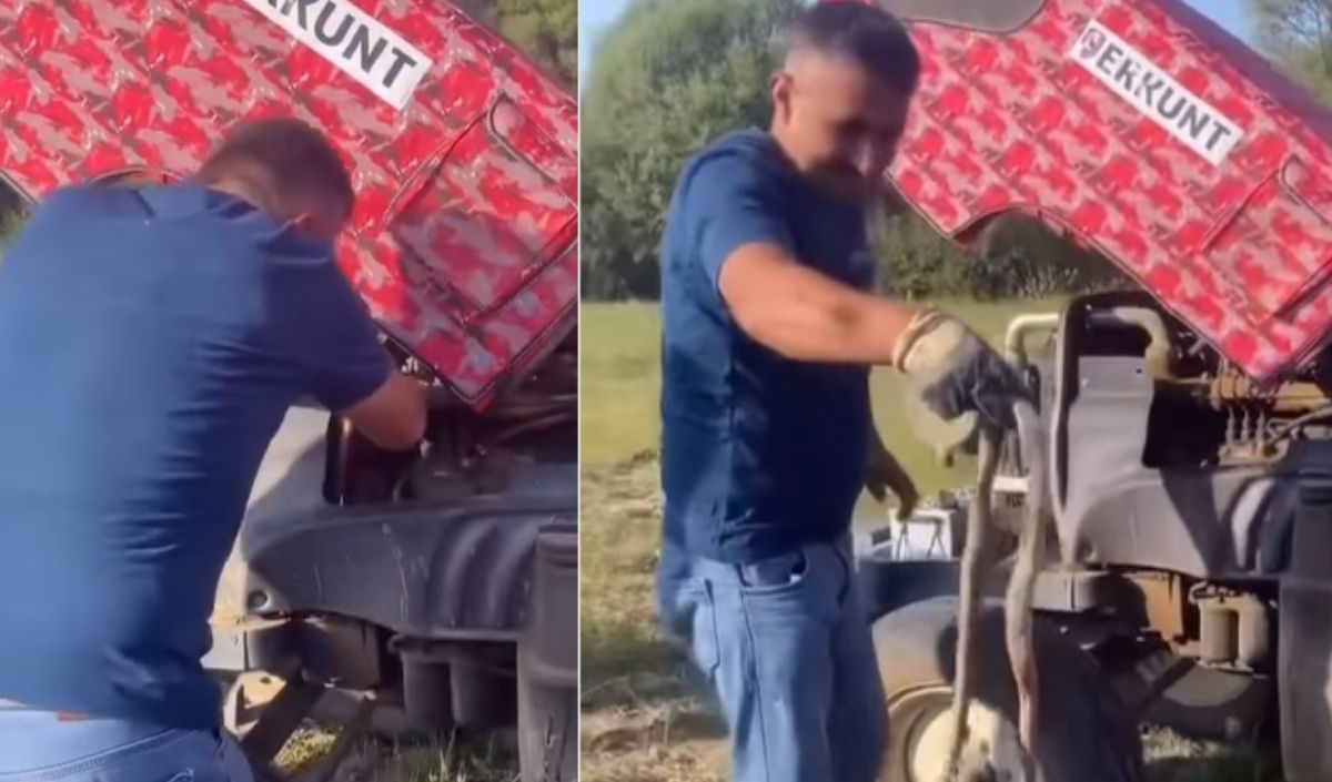 Uzmanlardan Hayati Uyarı! Yılan Paniği Büyüyor