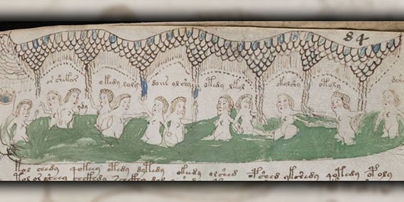 10. Voynich El Yazması
15.yüzyıla ait Voynich El Yazması, 250 sayfalık kozmolojik semboller, bitki ve çıplak kadın resimleri içeriyor. Yale Üniversitesi’nde saklanan bu metin, bilinmeyen bir dilde veya şifreli yazılmış olabileceği düşünülüyor. 1912’de Wilfrid Voynich tarafından keşfedilen yazma, hala deşifre edilemedi ve gizemini koruyor.