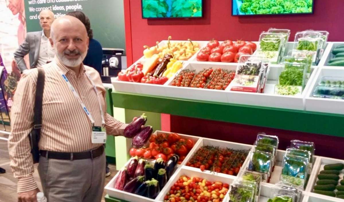 Yamula Patlıcanı Amsterdam'da Gündem Oldu (2)