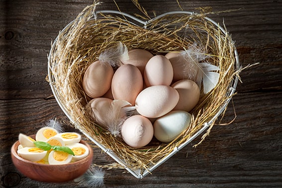 Yumurta
Yumurta, kaliteli protein ve B12 vitamini kaynağı olarak kırmızı kan hücresi üretimine katkı sağlar. Günlük beslenmeye eklenerek enerji seviyelerini destekler ve kansızlık belirtilerini hafifletir. Haşlanmış, omlet veya salata içinde tüketilebilir.