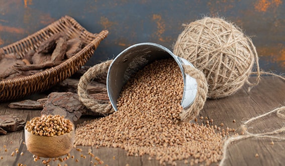 Karabuğday
Karabuğday, gluten içermeyen ve besin açısından yoğun bir tahıldır. 1 su bardağı pişmiş karabuğday 6 gram protein ve 5 gram lifin yanı sıra B vitaminleri, magnezyum ve demir içerir. Kahvaltıda süt ve bal ile kremsi bir lapa olarak tüketilebilir. Karabuğday unuyla pankek veya erişte yapabilir, salatalara ekleyebilirsiniz.