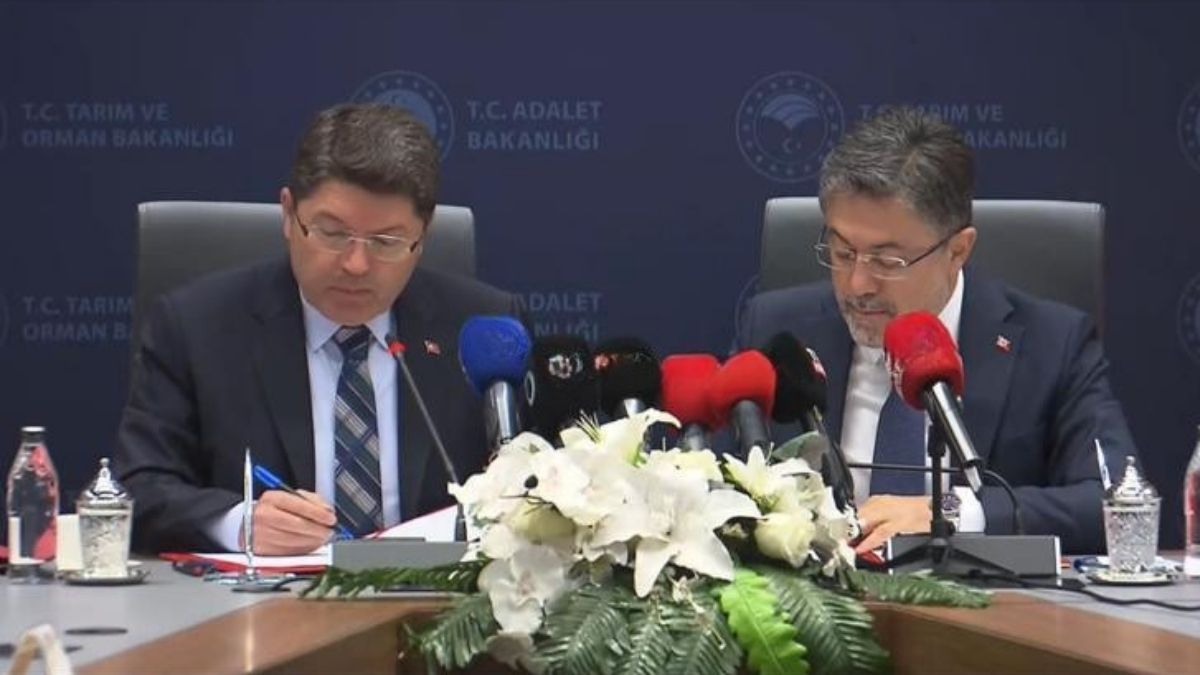 Adalet Baknalığı (4)