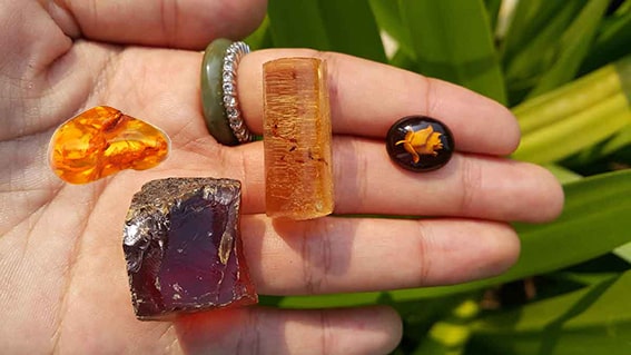Amber
Amber, sıcak ve derin kokusuyla parfümlerin alt notalarında yer alır. Kokuya zenginlik ve kalıcılık katan amber esansı, parfümün duygusal bir bağ kurmasını sağlar. Kullanıcıda kalıcı bir iz bırakan bu esans, parfümün etkisini uzun süre hissettirir.