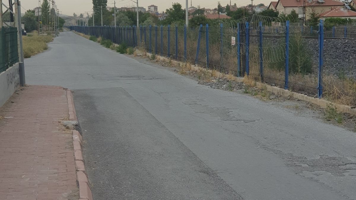 Argıncık (4)