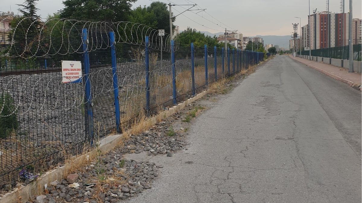 Argıncık (5)