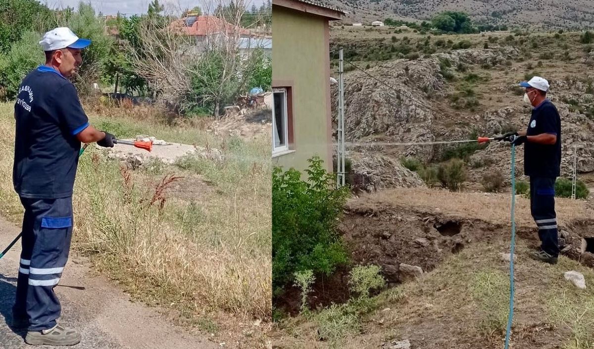 Belediye Başkanı Uyardı! Kene Vakaları 3 Can Aldı (4)