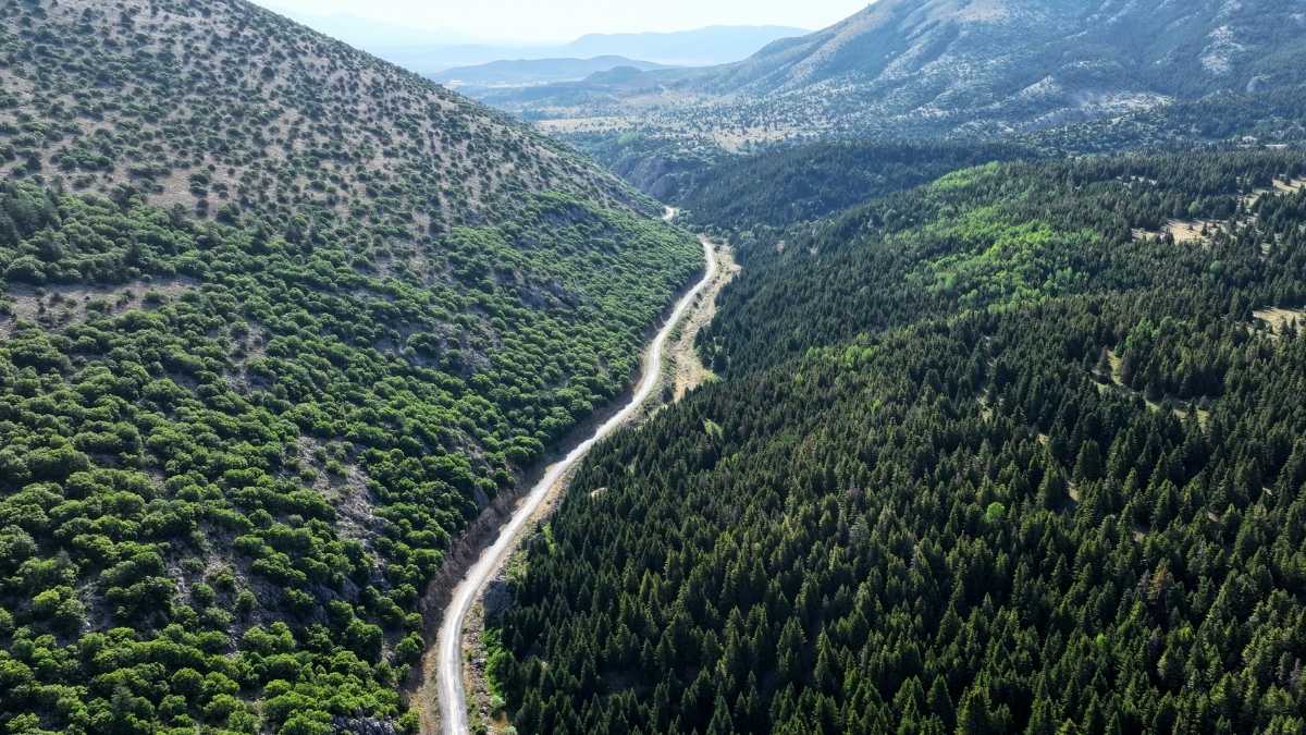 Berçin Yaylası (1)