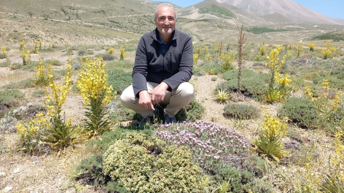 Erciyes Endemik (1)