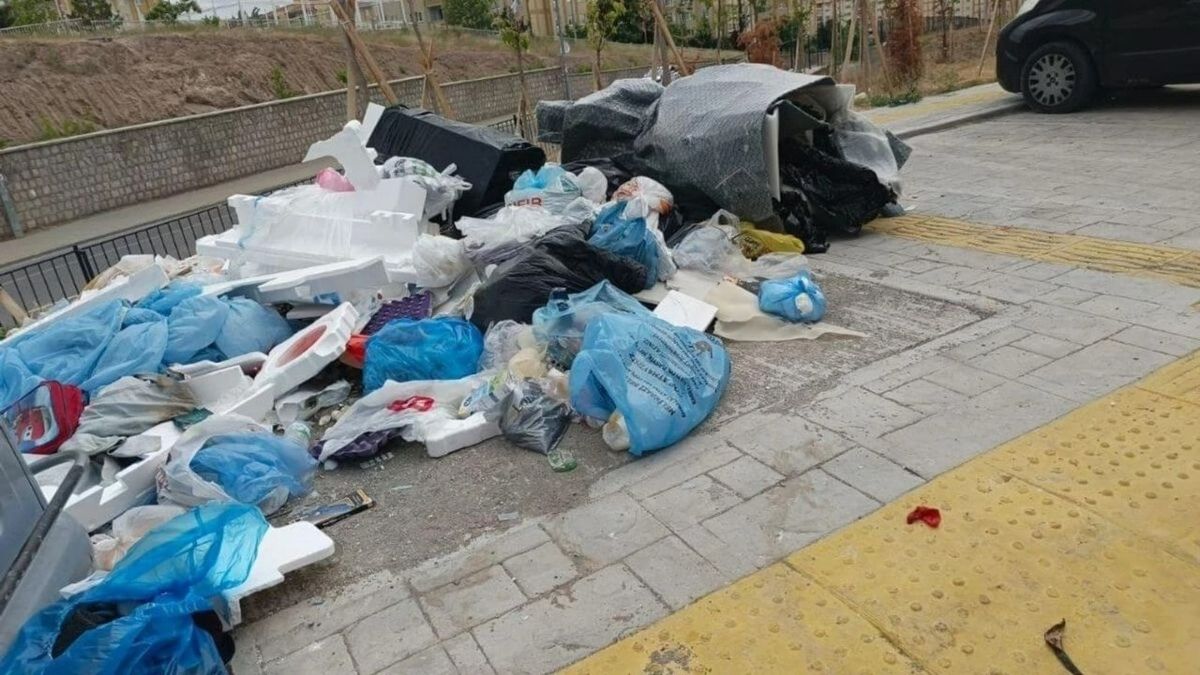 Görüntü Mide Bulandırdı (1)