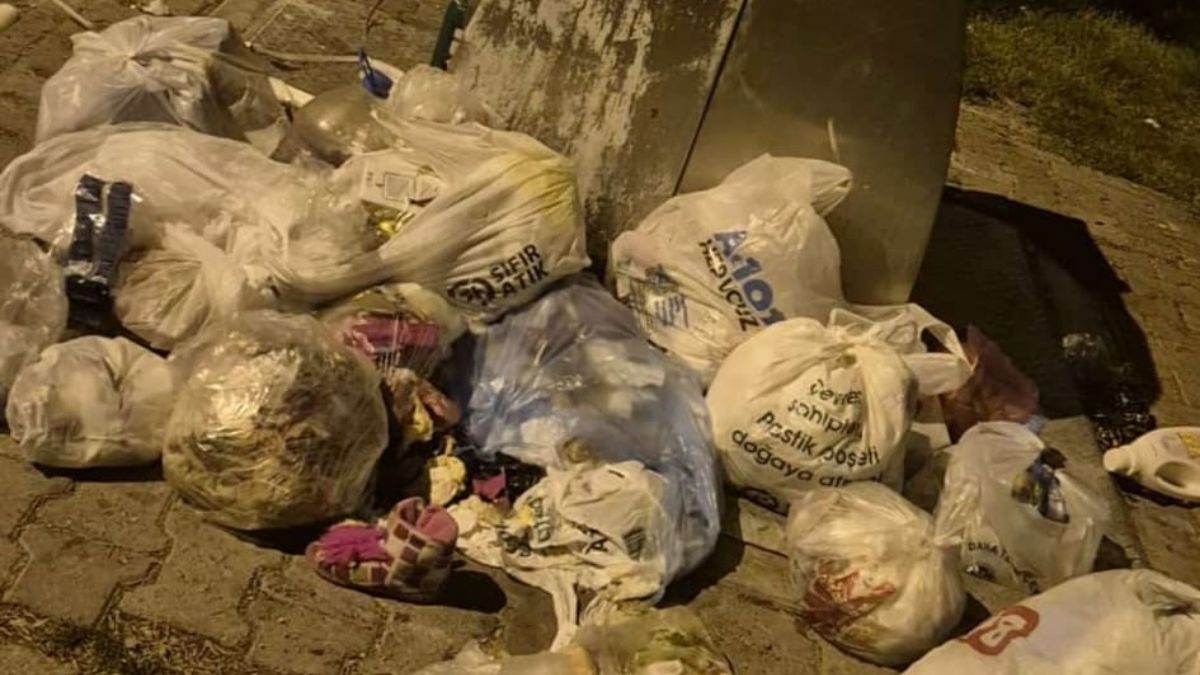 Görüntü Mide Bulandırdı (3)
