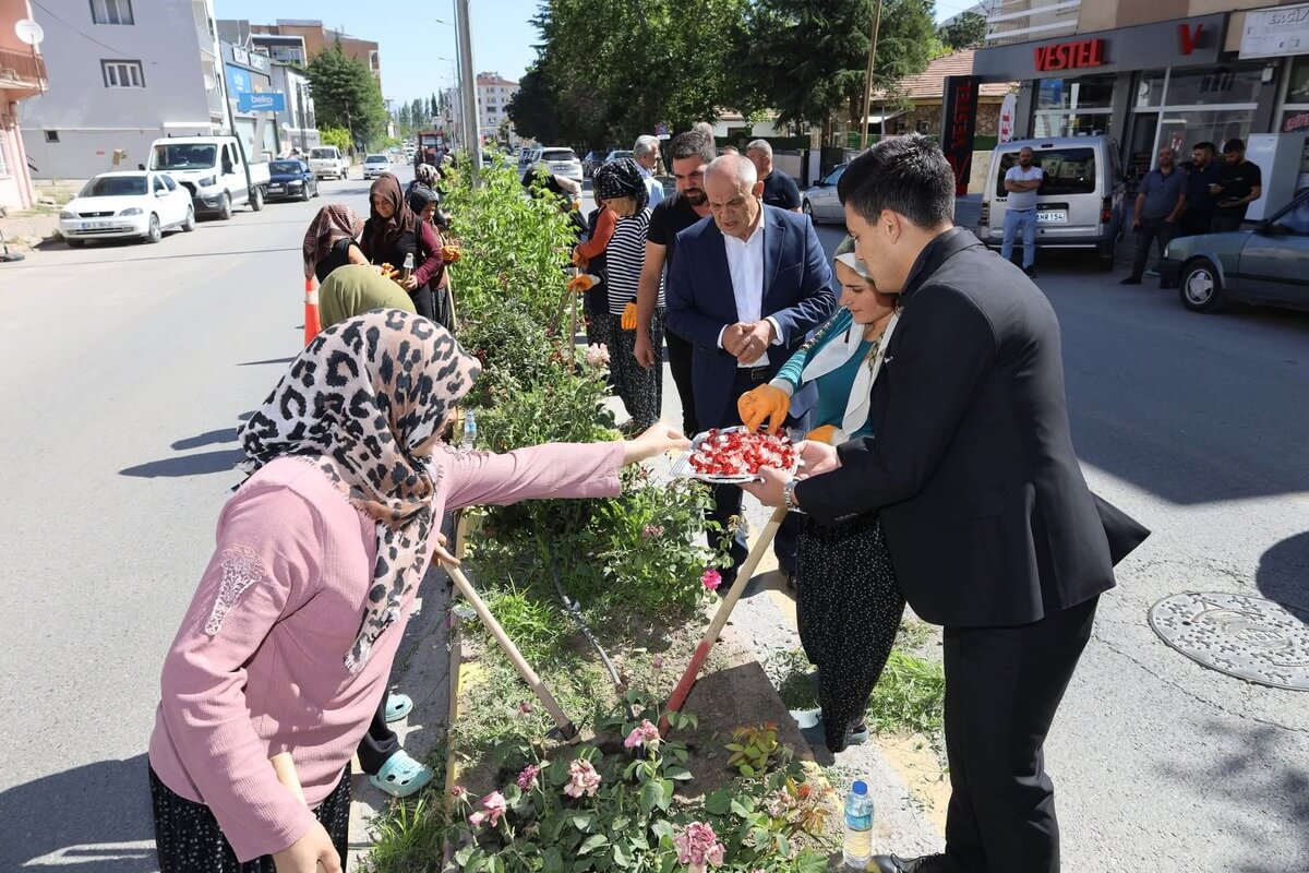 yahyalı