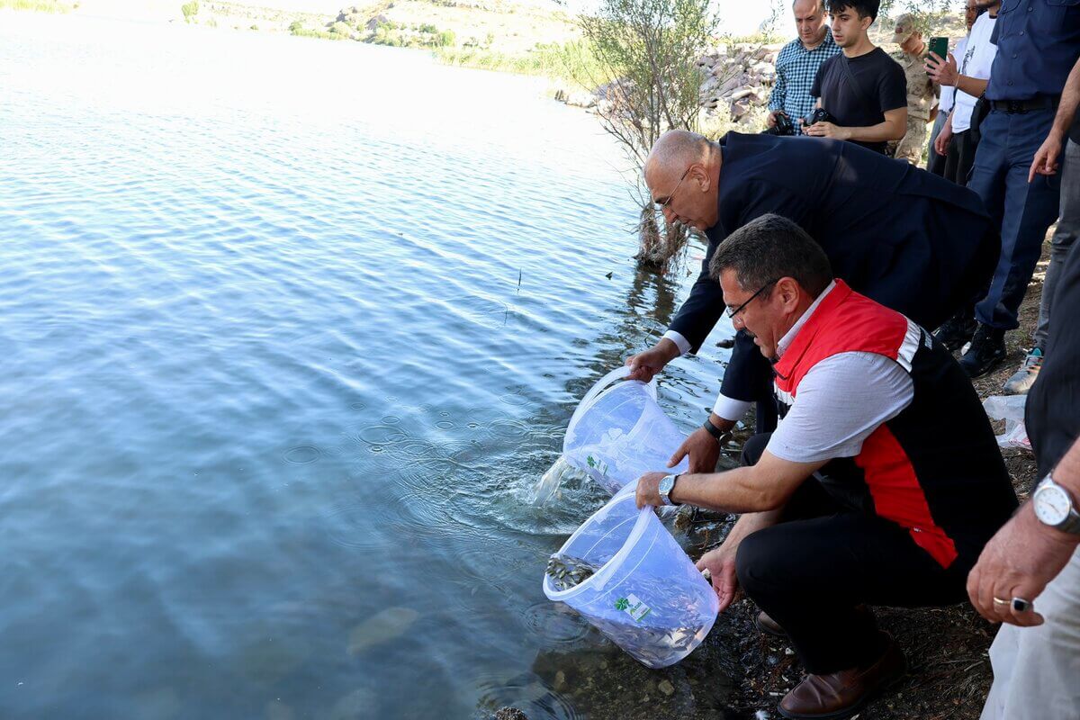 balık